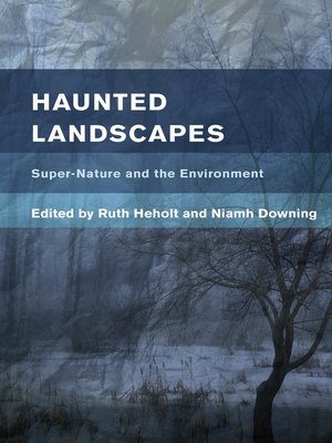 cover image of Haunted Landscapes